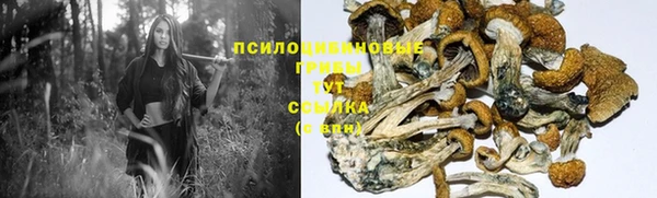 a pvp Балахна